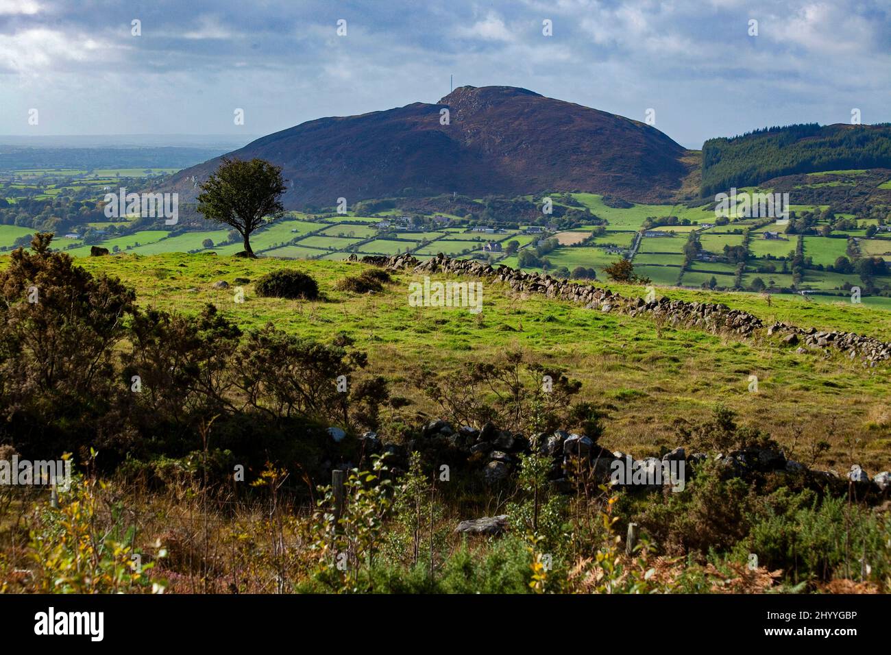 Croslieve Mountain from Slieve Gullion, Armagh Stock Photo