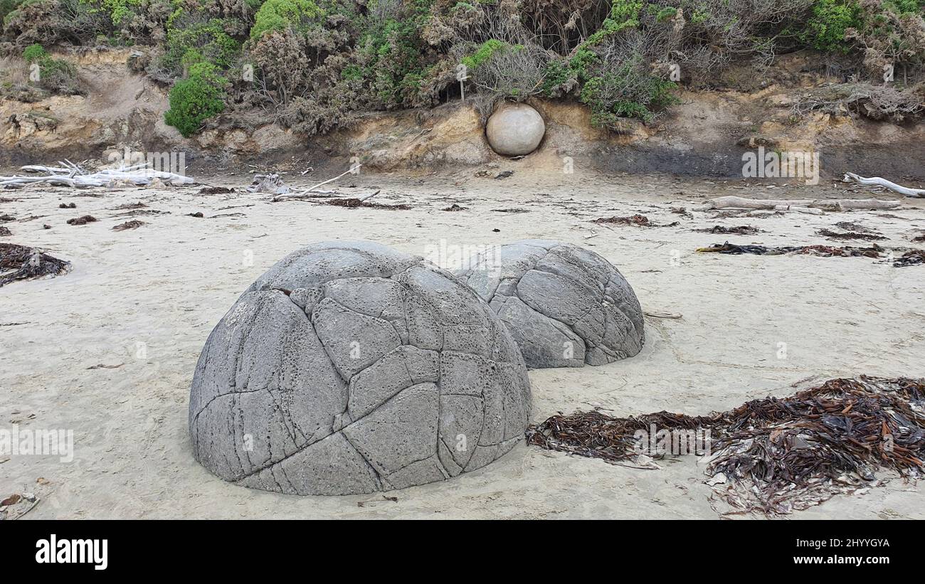 Giant rocks on a sandy shore with small plants in the background Stock ...