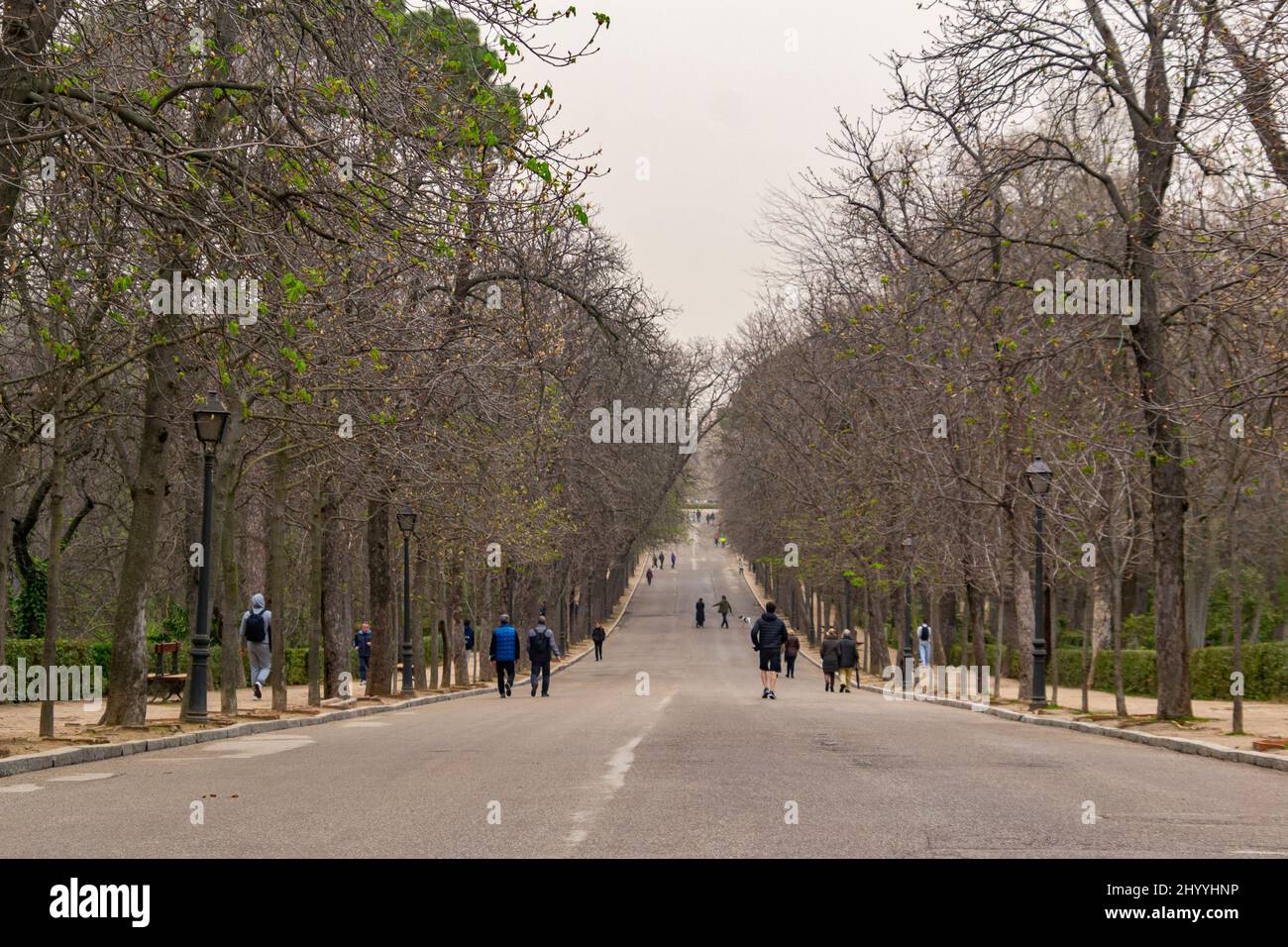 Dust haze of the Sahara desert in Madrid. The capital of Spain covered