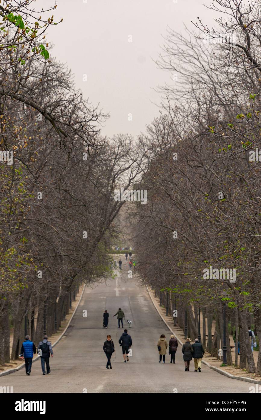 Dust haze of the Sahara desert in Madrid. The capital of Spain covered