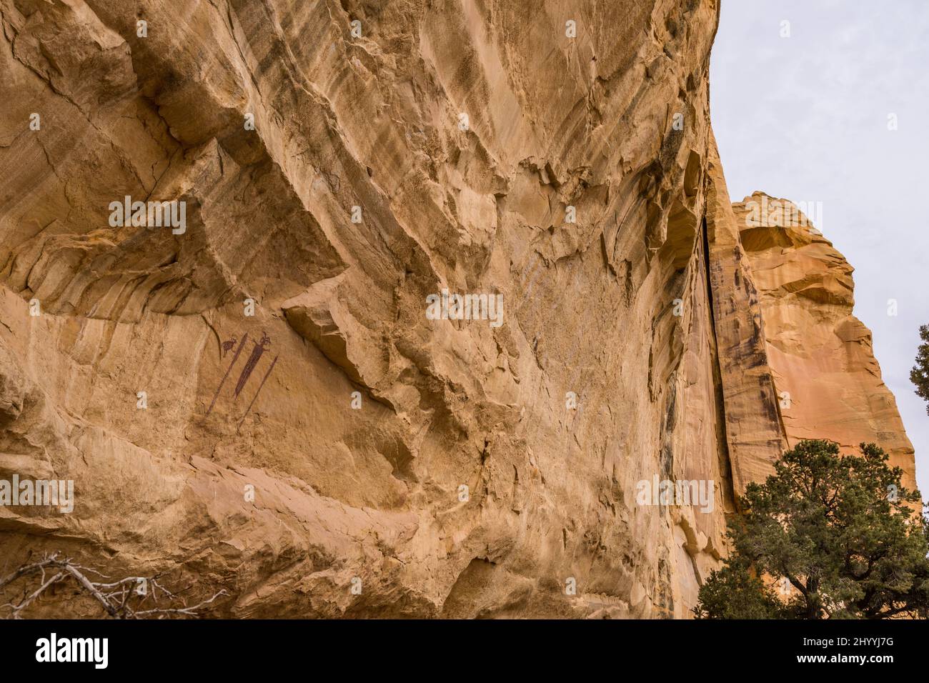 This Barrier Canyon-style rock art panel is found in the area of the San Rafael Swell in Utah known as the Head of Sinbad.  These pictographs were pai Stock Photo