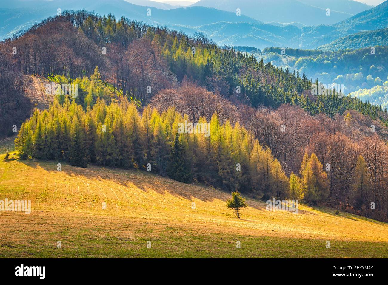 Landscape with hills covered with forests. The Strazov mountains  in Slovakia, Europe. Stock Photo