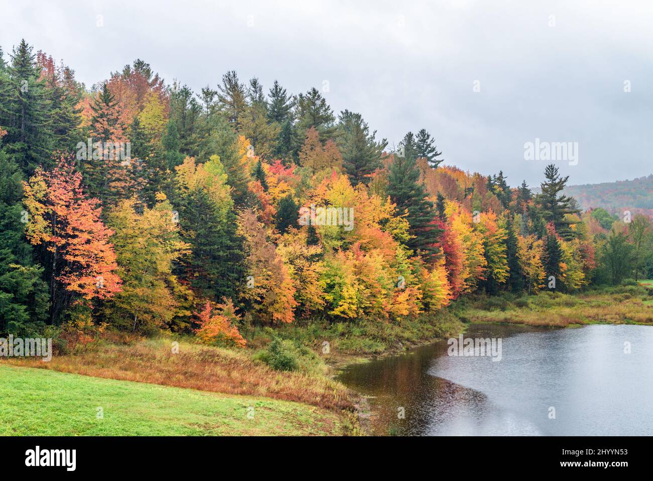 New england trees in hi-res stock photography and images - Alamy