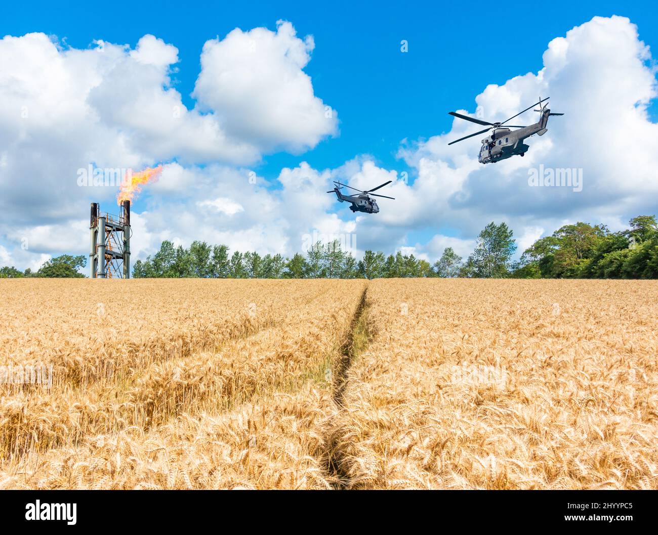 Military helicopters flying over wheat field and gas plant chimney. Concept image: Ukraine Russia conflict, wheat, food shortage, Russian sanctions... Stock Photo