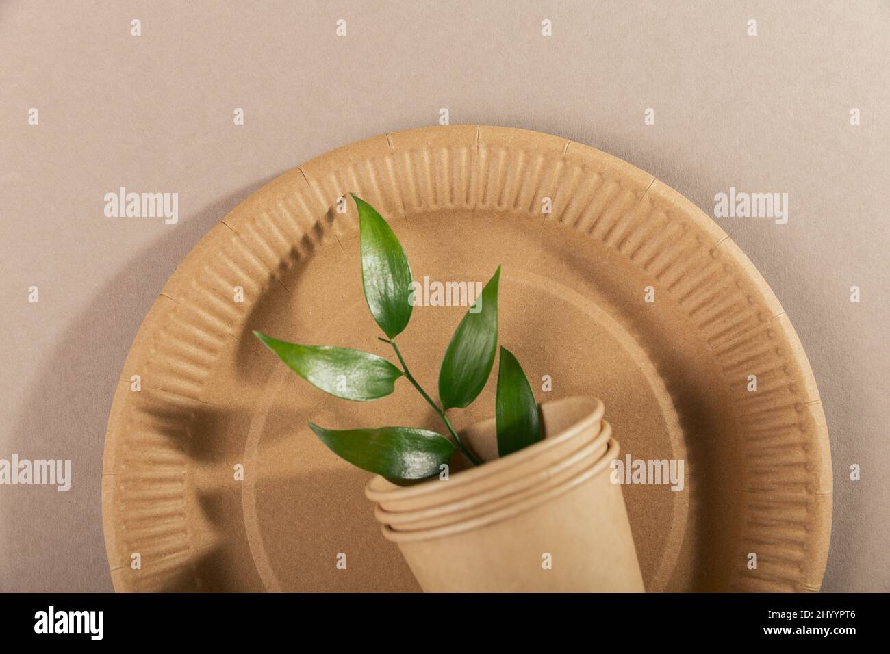 Catering and street fast food paper cups, plates and green leaves