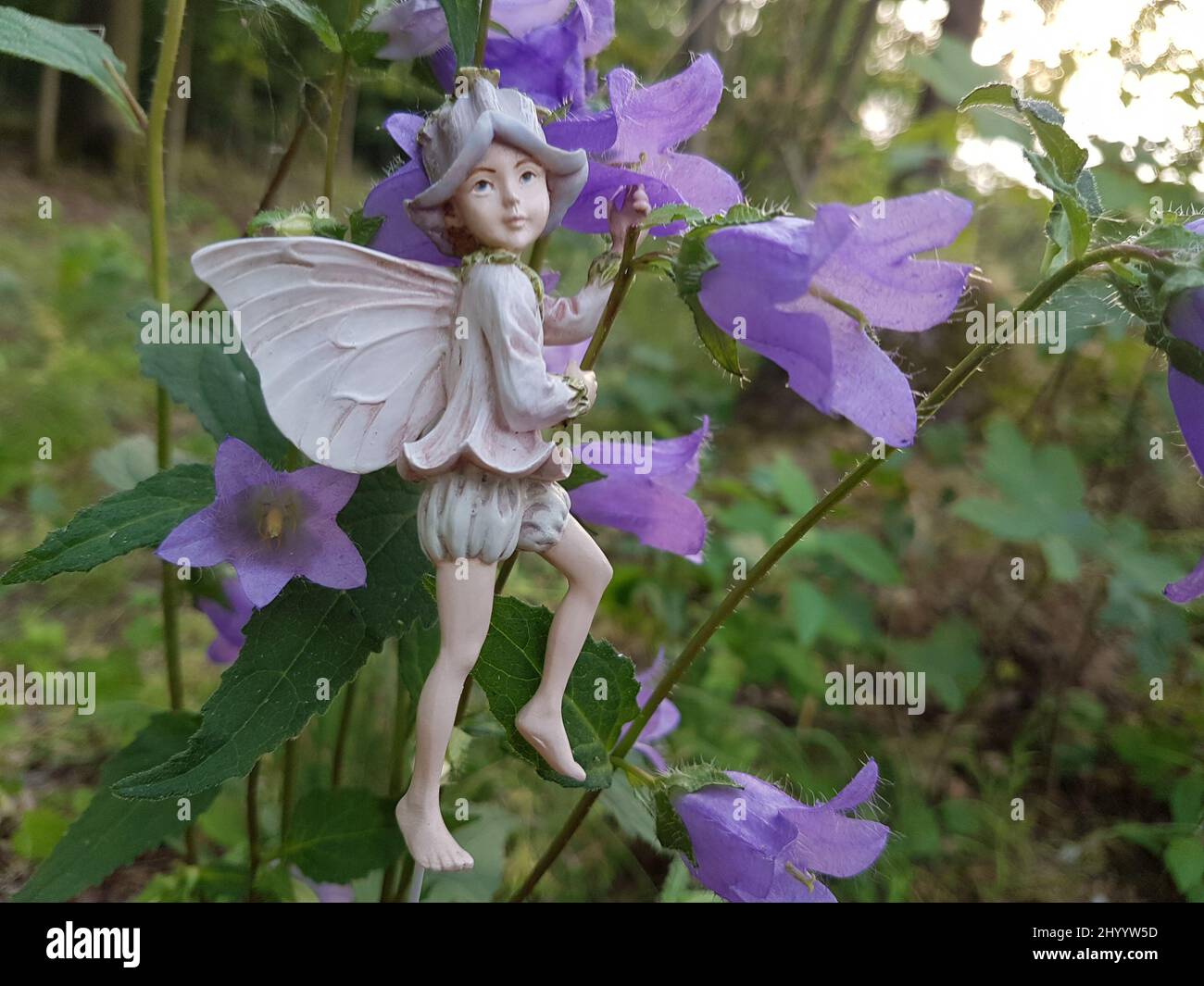 Closeup of a miniature gardening fairy statue near a Campanula trachelium Stock Photo
