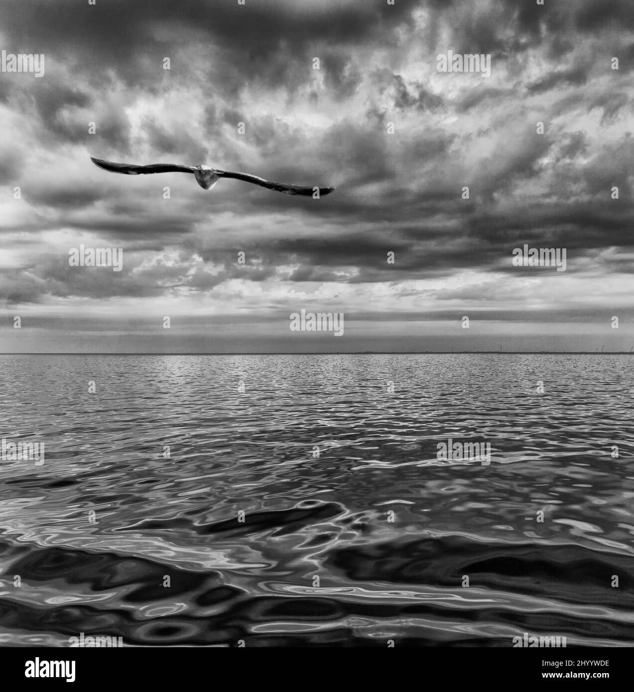 Aerial shot of Atlantic Sea during the sunset in black and white Stock ...