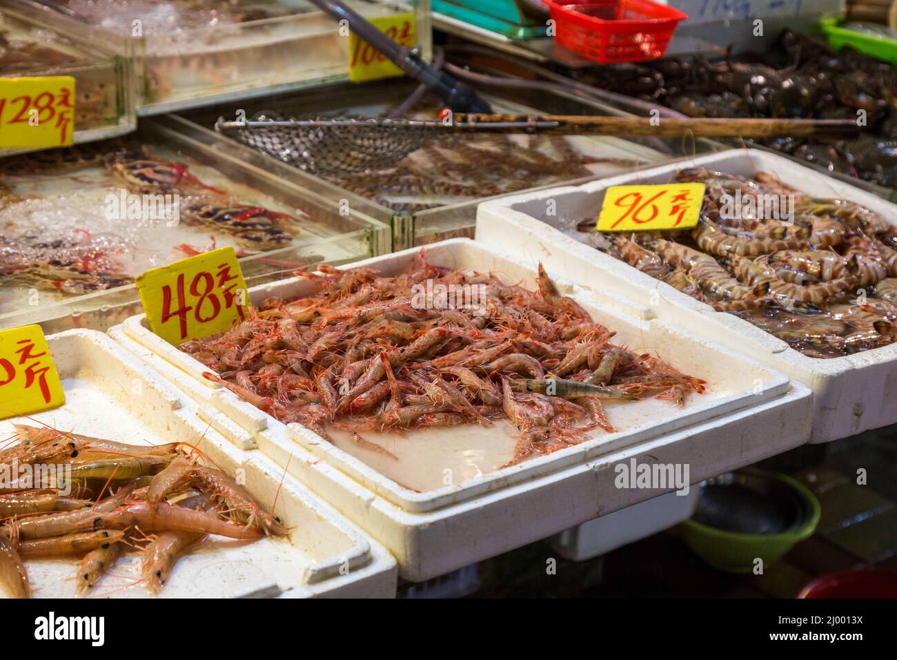 Different kind of shrimps and prawns being sold at a wet market in Hong Kong, China. Stock Photo