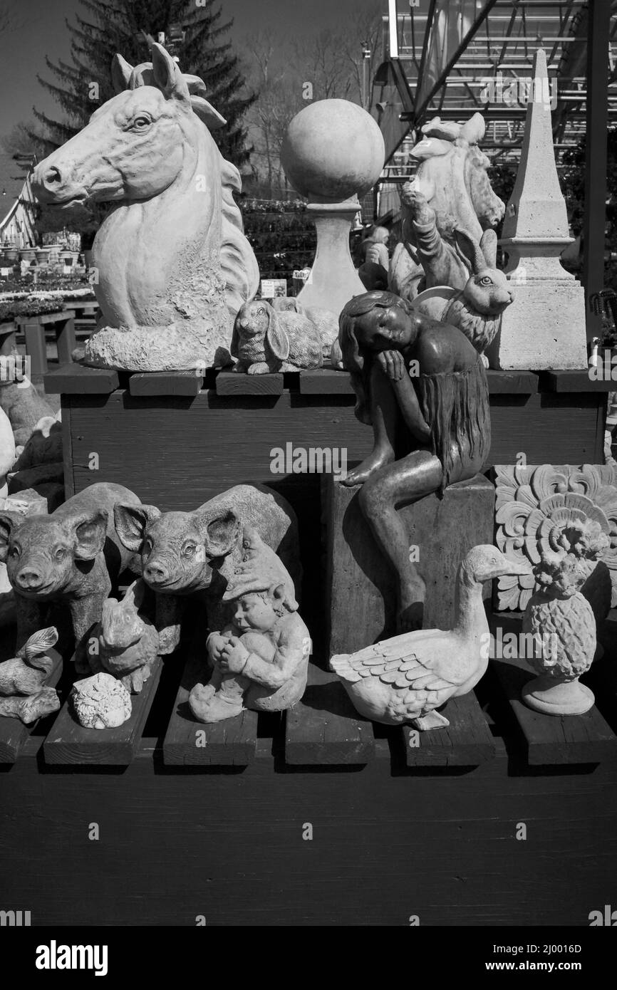 Cement lawn decorations at the Farm at Green Village. Large horse head, Budha, squirrels, in this bright daylight shot. Stock Photo