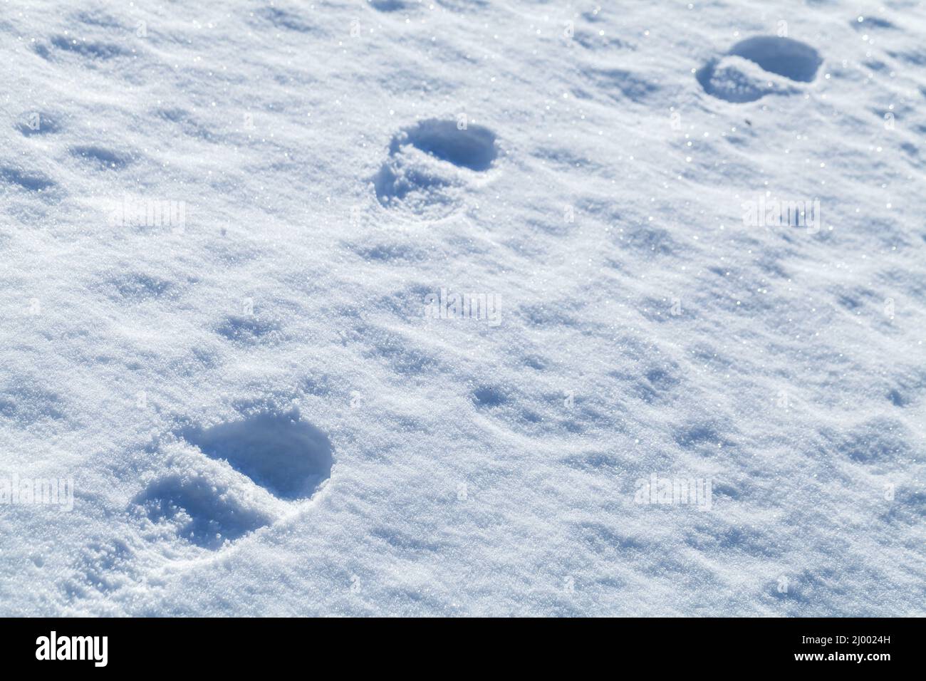 Footprints in snow, abstract background photo texture Stock Photo Alamy