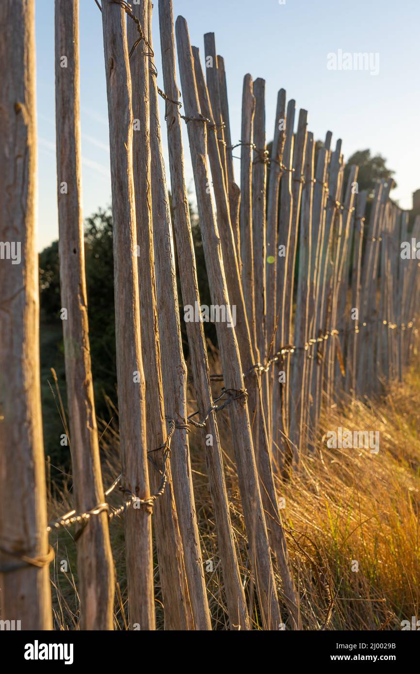 Vertical closeup shot fence hi-res stock photography and images - Alamy
