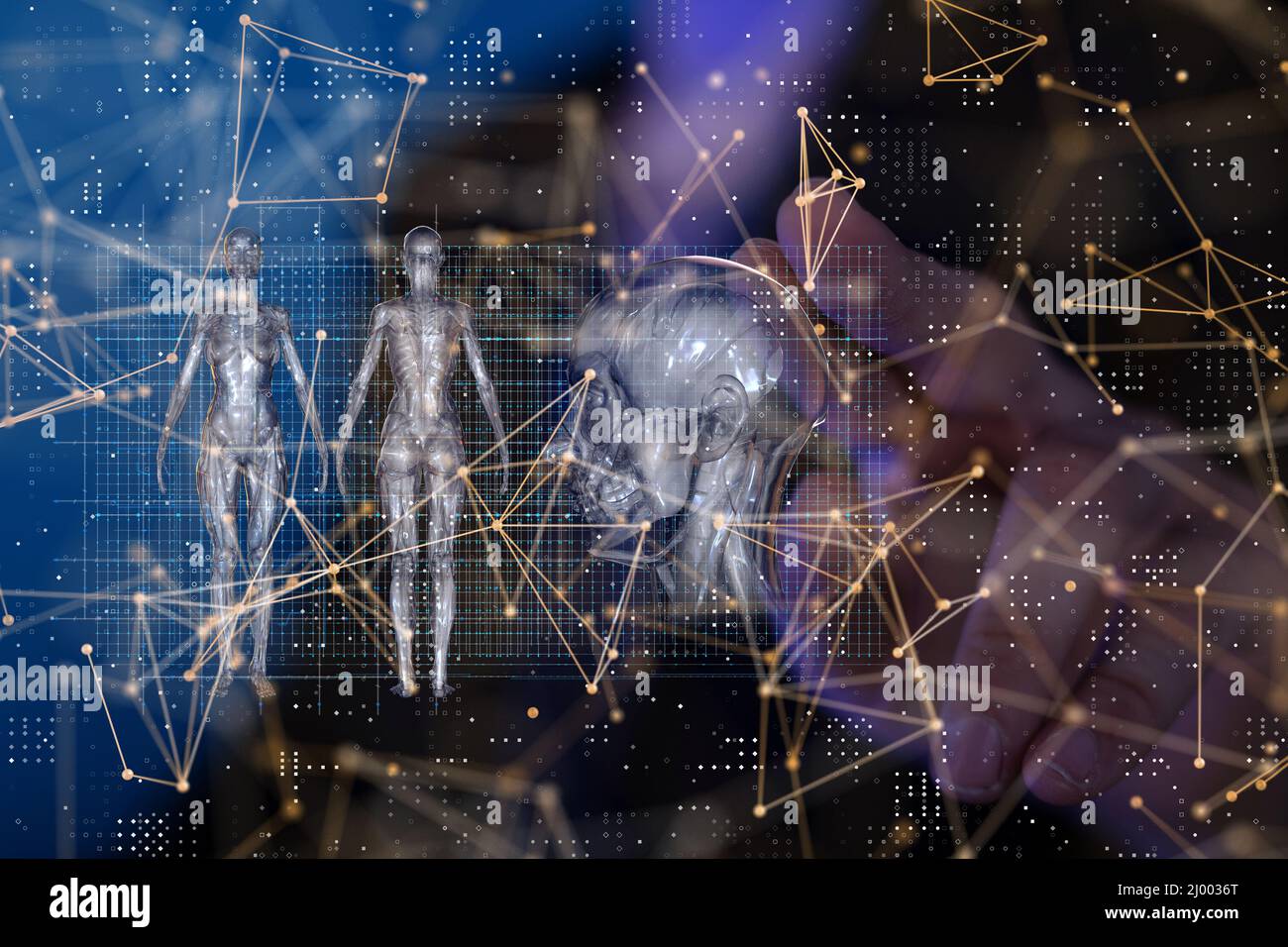 Digital render of a connected network and medical anatomy icons Stock ...