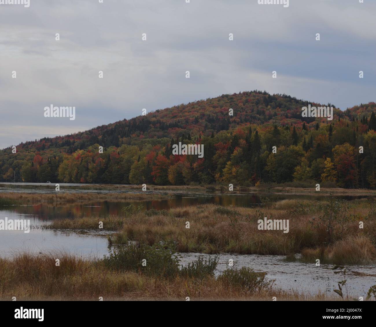 Mesmerizing view of a calm lake surrounded by autumn trees Stock Photo ...