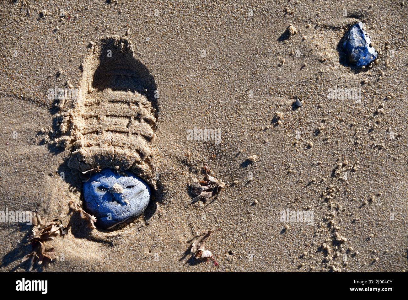 Closeup shot of a footprint in the sand at the beach Stock Photo - Alamy