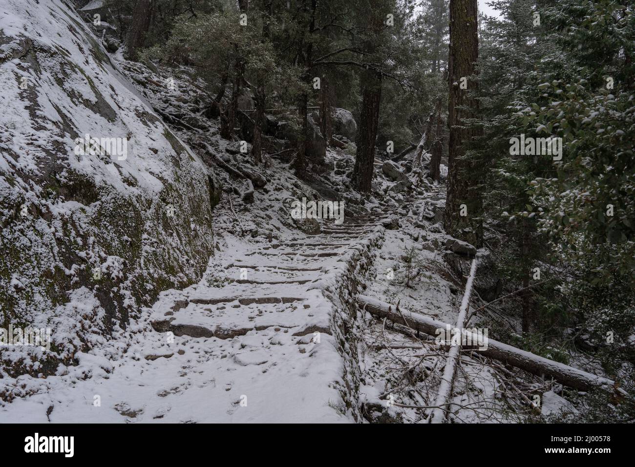 John Muir Trail at Yosemite National Park Stock Photo
