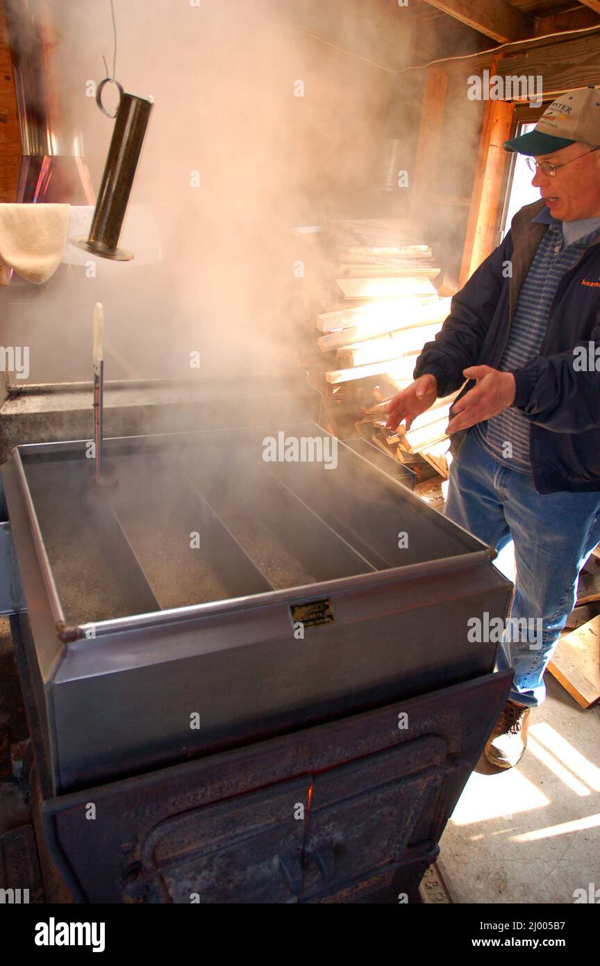 Maple syrup processing hires stock photography and images Alamy