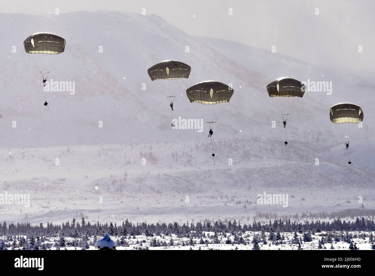 Fort Greely, United States. 11 March, 2022. Canadian and U.S. Army paratroopers parachute during a Joint Forcible Entry Operation part of Exercise Arctic Edge at the Donnelly Drop Zone March 11, 2022 in Fort Greely, Alaska.  Credit: John Pennell/U.S. Army/Alamy Live News Stock Photo