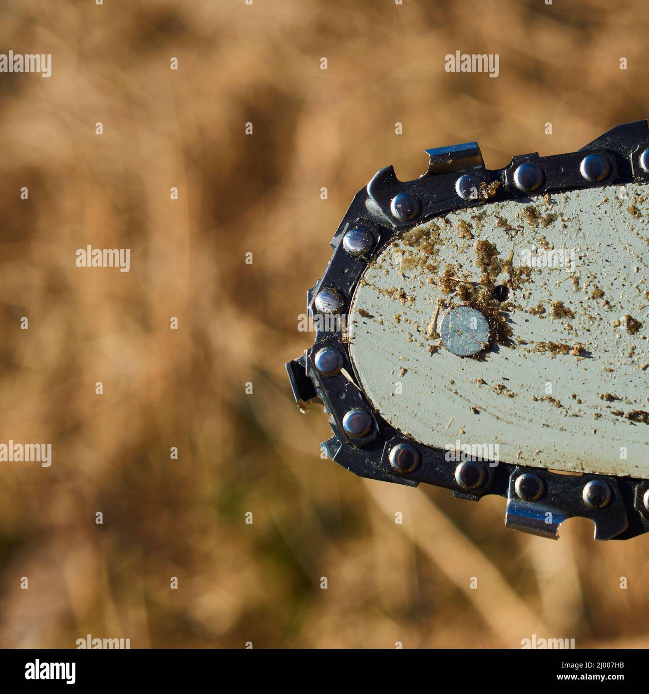 Detail of dirty used chainsaw chain for cutting wood. Selective focus