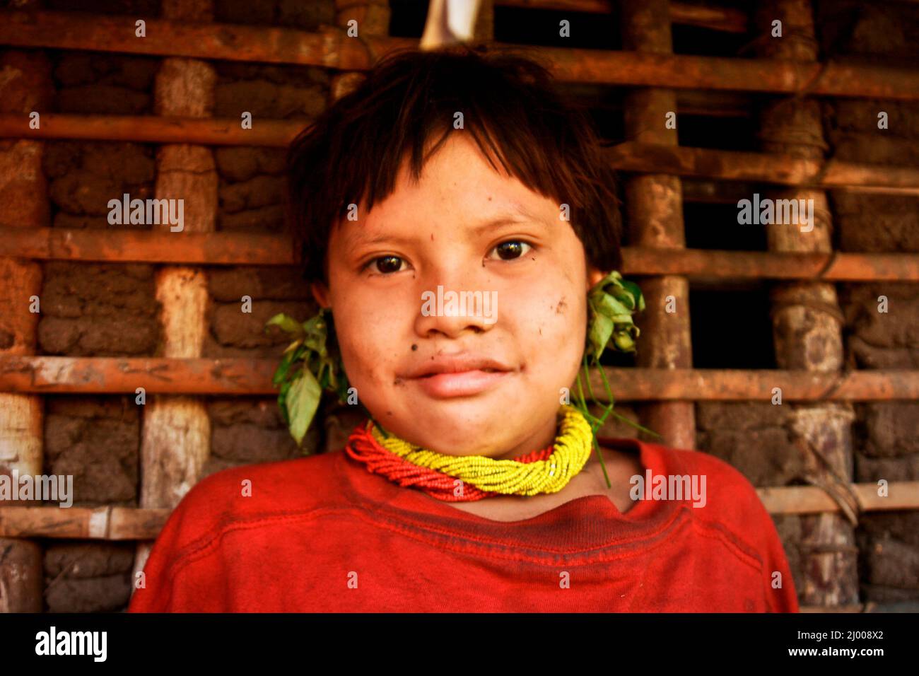 A young girl from the Yanomami community of the Ocamo river near Esmeralda..The Yanomami are an ancient indigenous people living along the Brazilian-Venezuelan border in the fertile lands of the Orinoco and Amazon Rivers. They are semi nomadic and heavily dependant on nature both for hunting and agriculture. But today, the physical and cultural survival of the Yanomami people have been threatened by gold mining, deforestation, and disease.  High Orinoco State, Venezuela. July 23, 2007. Part of the photo story, 'Yanomamis: The Spirit of Amazonia', by Diego Martinez. Stock Photo