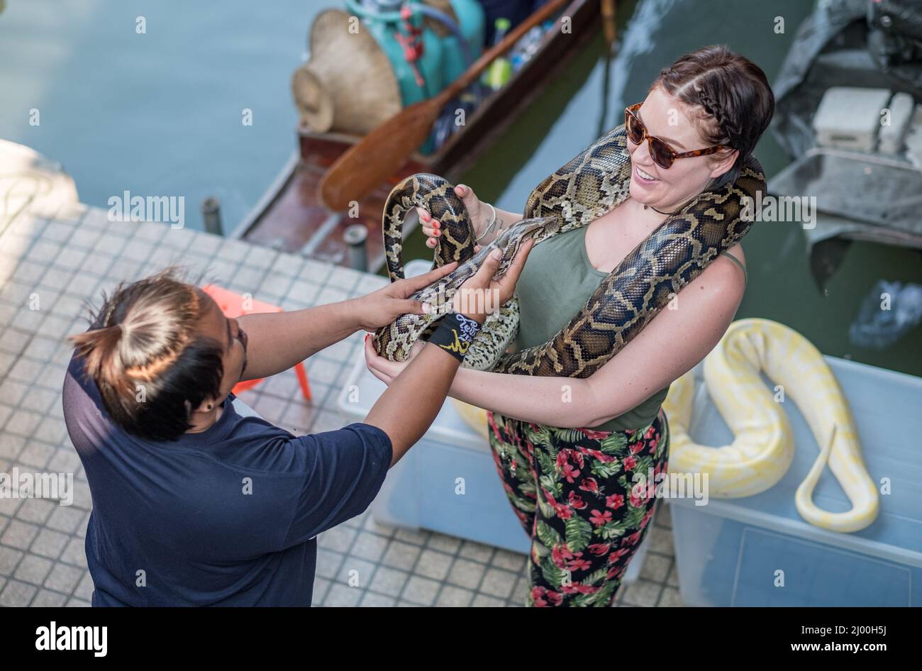 Python snake encounter at Damnoen Saduak Floating Market Stock Photo ...