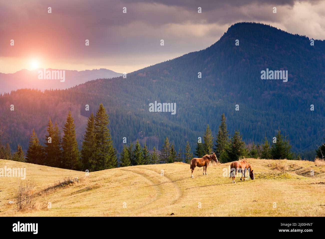 Sunny view of the wonderful alpine valley. Picturesque and gorgeous scene. Location place Carpathian, Ukraine, Europe. Instagram toning, vintage style Stock Photo