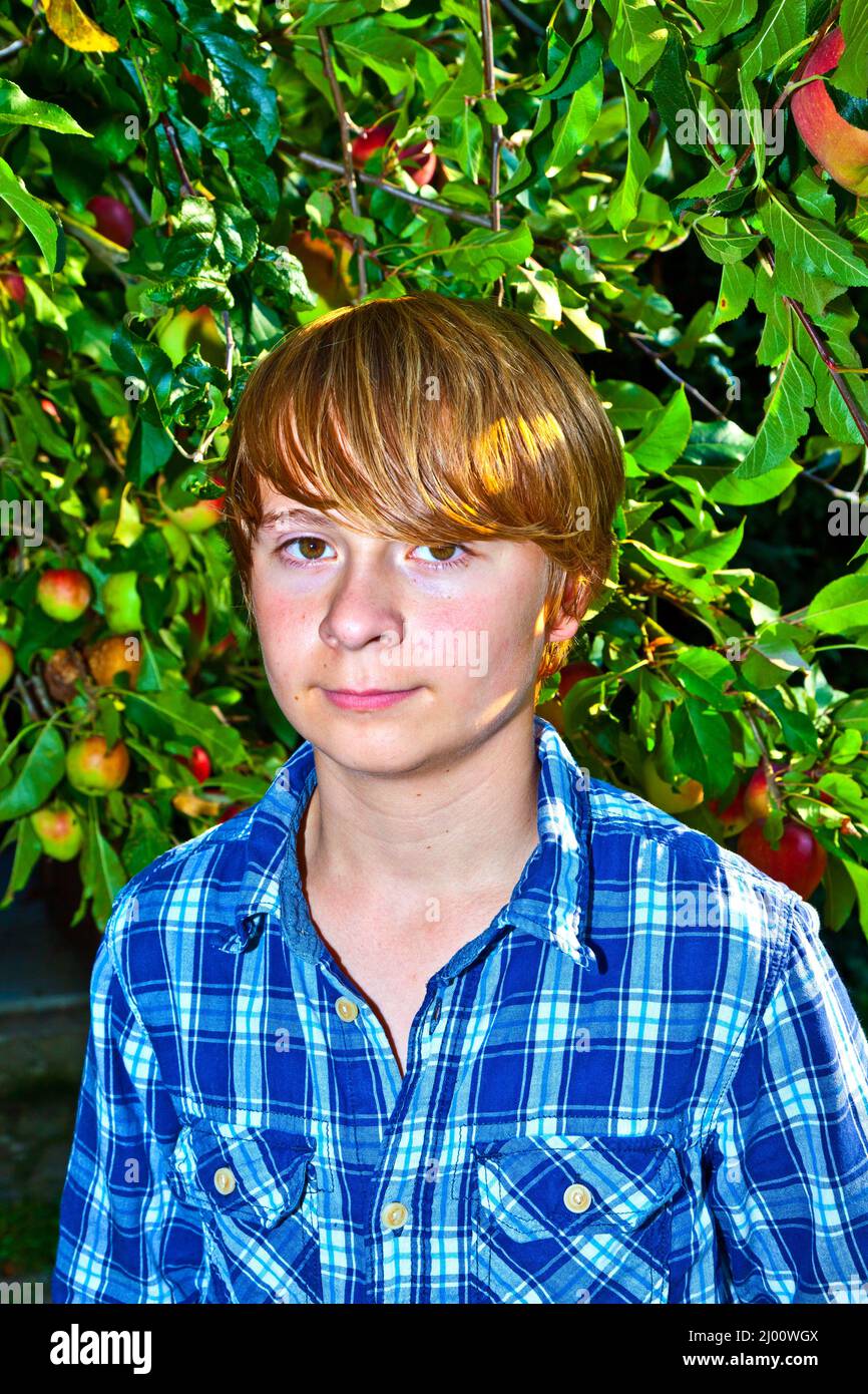 portrait of cute boy in leaves of the tree Stock Photo - Alamy