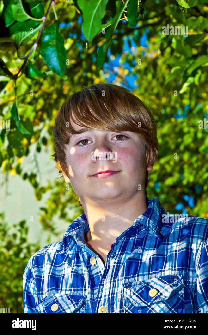 portrait of cute boy in leaves of the tree Stock Photo - Alamy