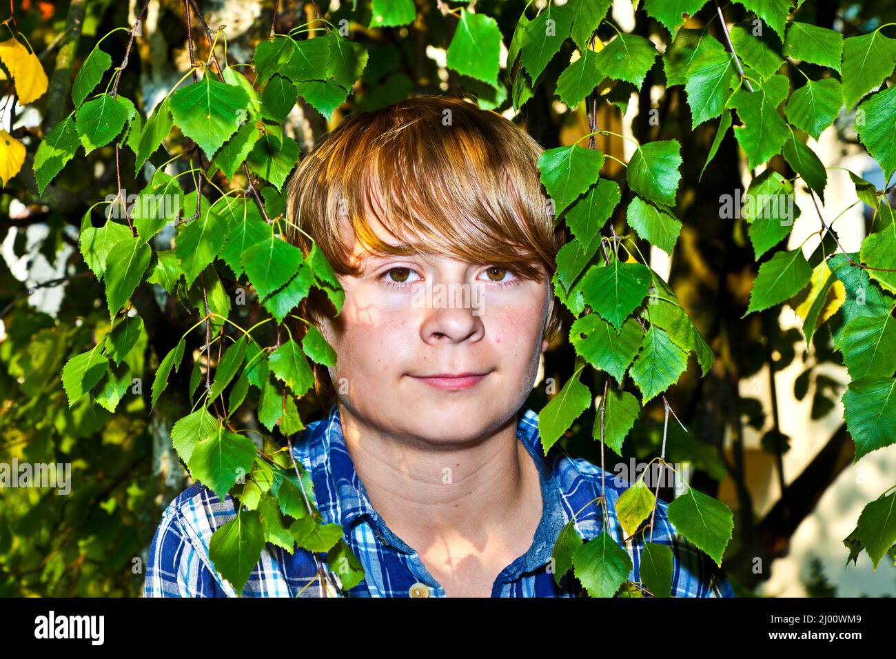 portrait of cute boy in leaves of the tree Stock Photo - Alamy