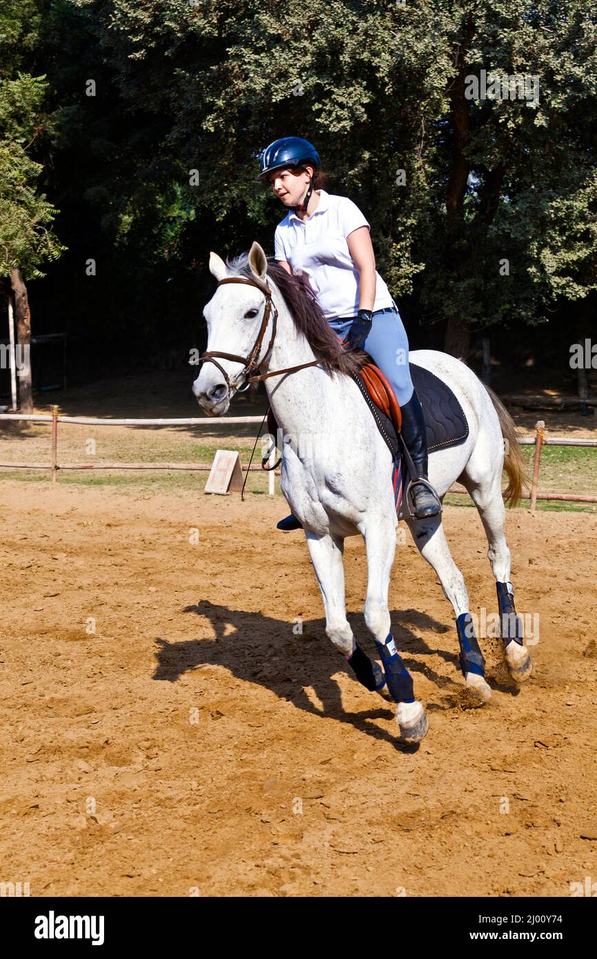female rider trains the horse in the riding course Stock Photo - Alamy