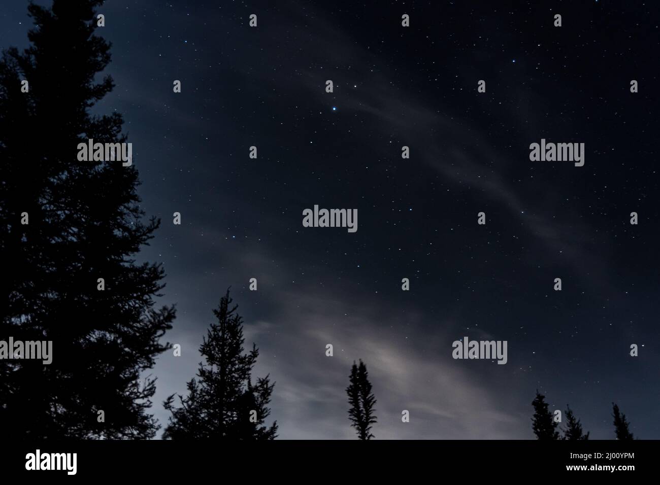Beautiful view of the starry night sky Stock Photo - Alamy