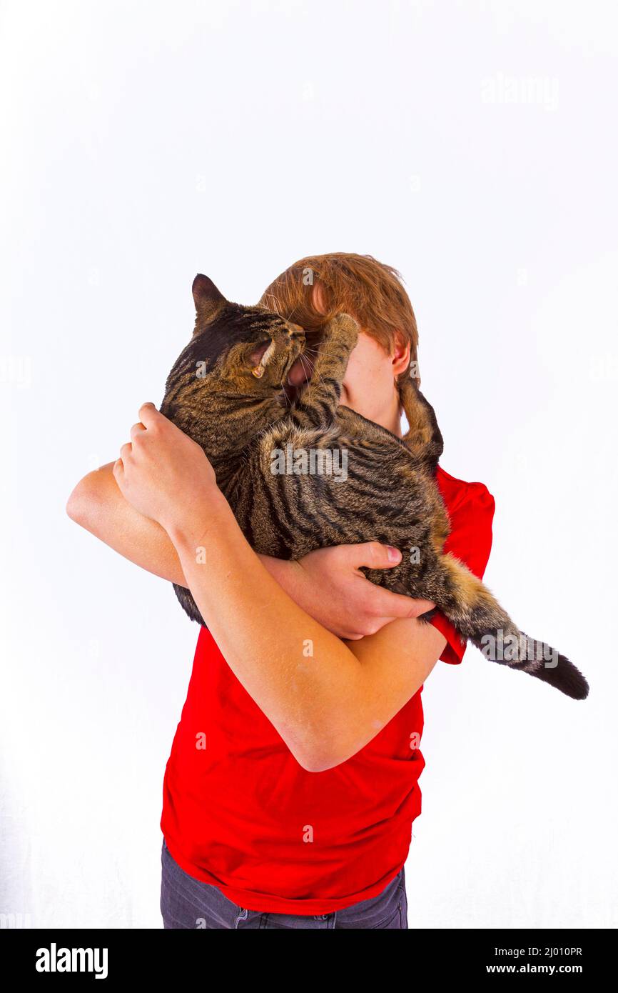 cute boy hugging his cat in the arm Stock Photo Alamy