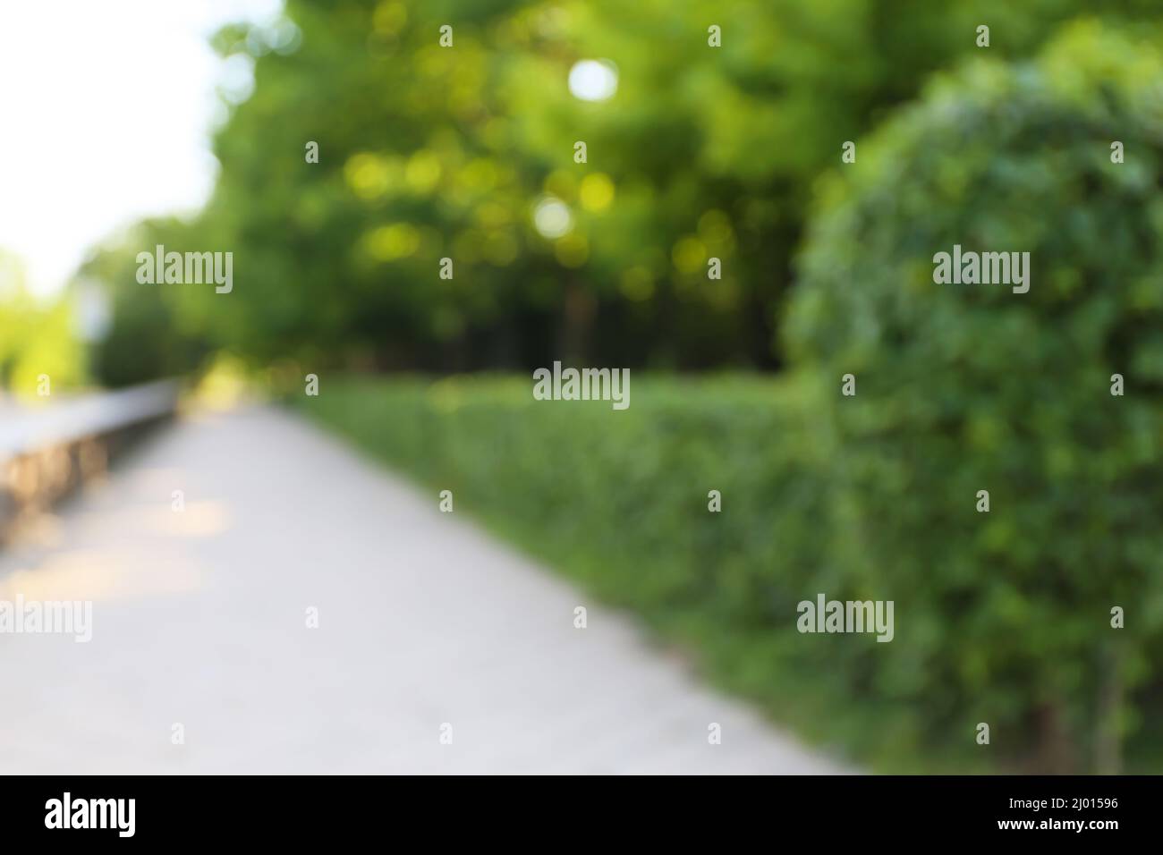 Blurred view of beautiful landscape design and alley Stock Photo - Alamy