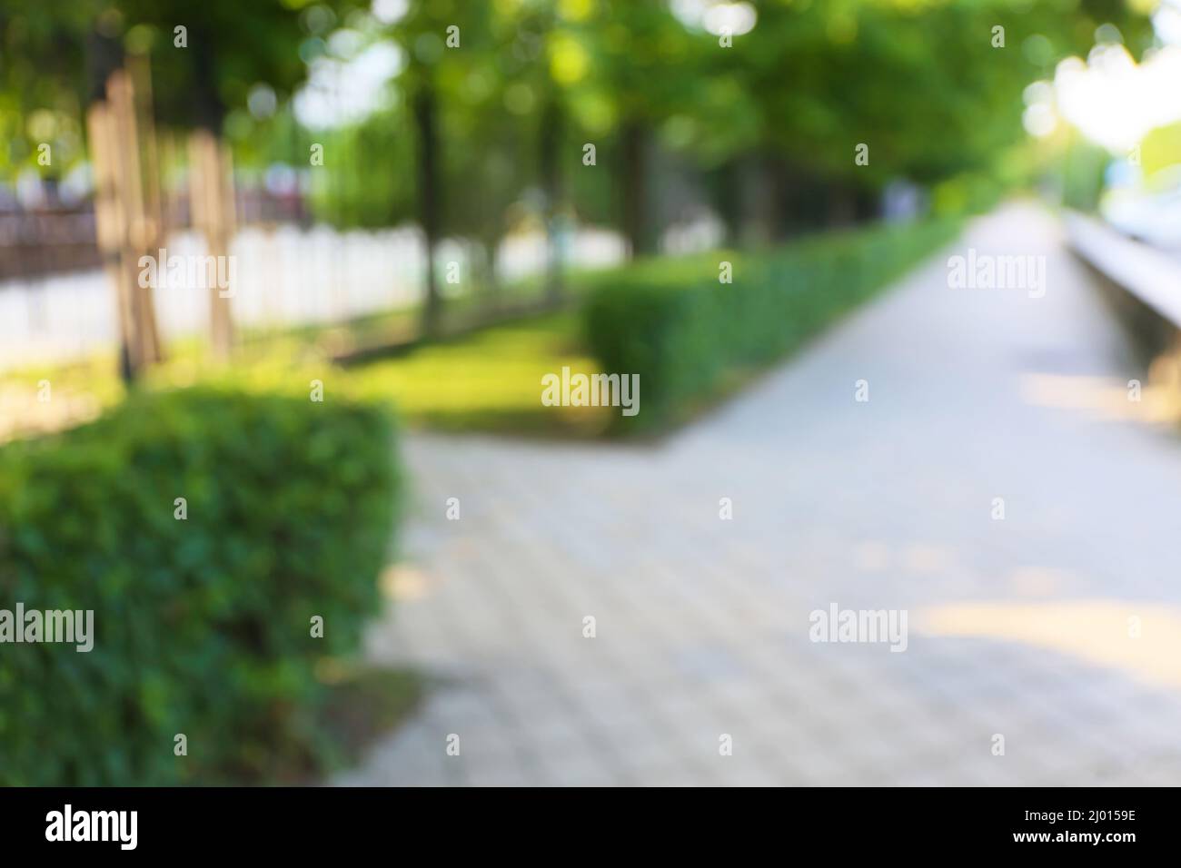 Blurred view of beautiful landscape design and alley Stock Photo - Alamy