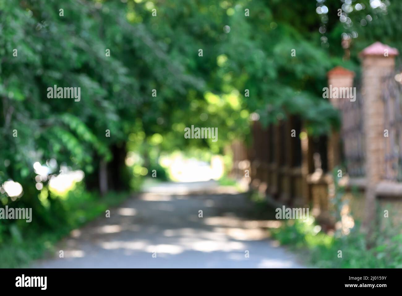 Blurred view of city street with green trees and alley Stock Photo - Alamy