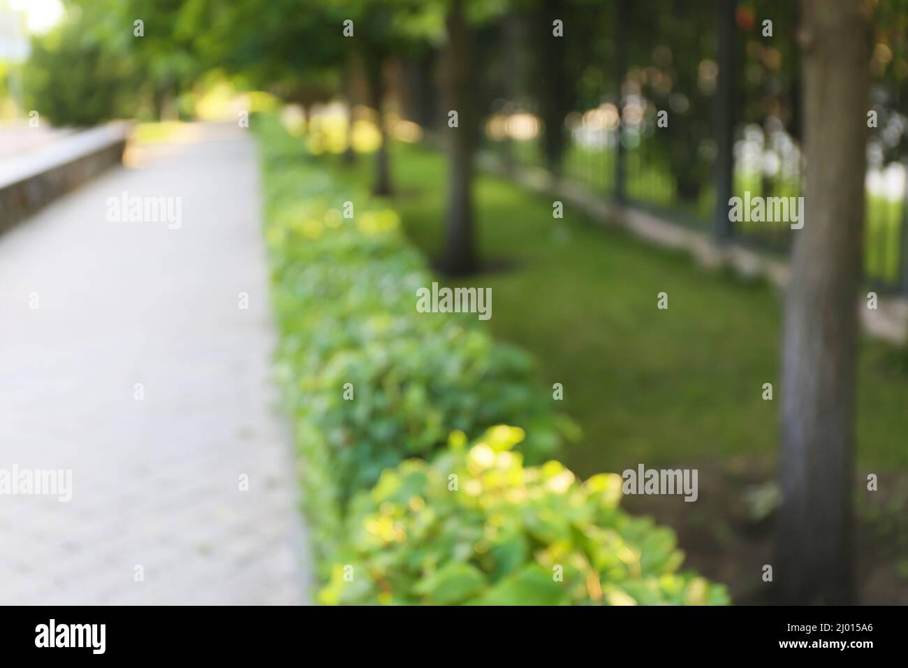 Blurred view of beautiful landscape design and alley Stock Photo - Alamy