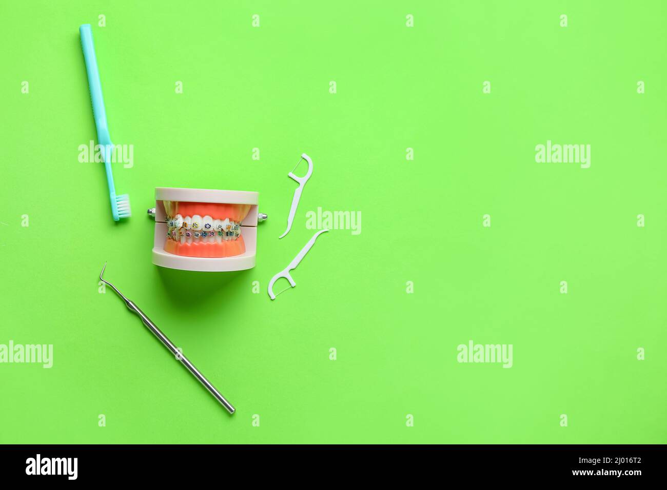 Model of jaw with dental braces, toothpicks, brush and tool on green