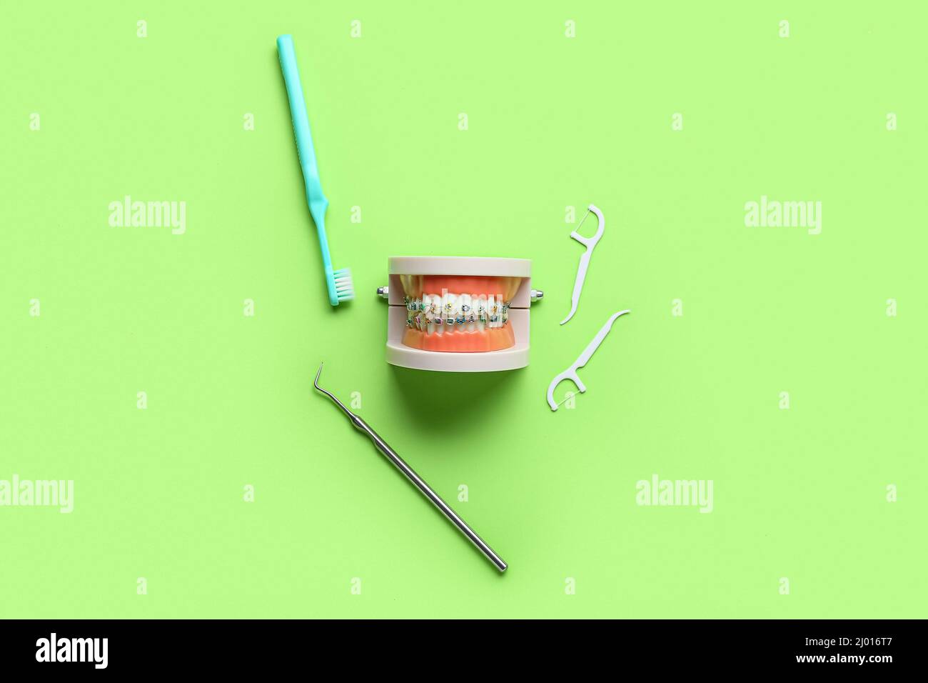 Model of jaw with dental braces, toothpicks, brush and tool on green