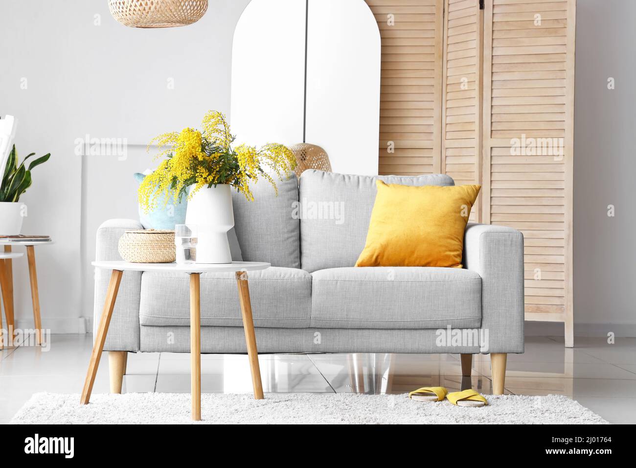 Vase with mimosa flowers on table and sofa in interior of living room ...