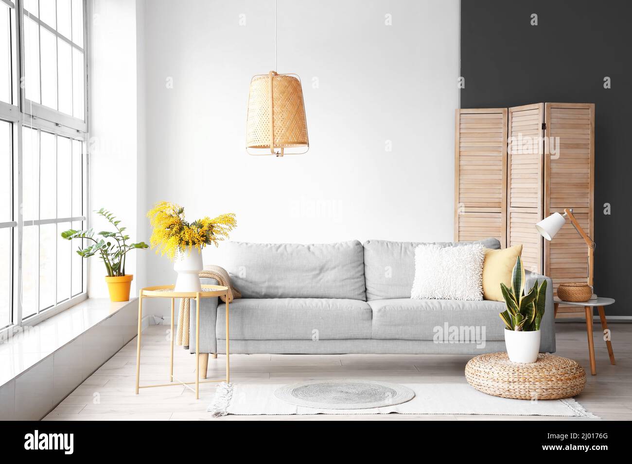 Interior of modern living room with mimosa flowers in vase and sofa ...