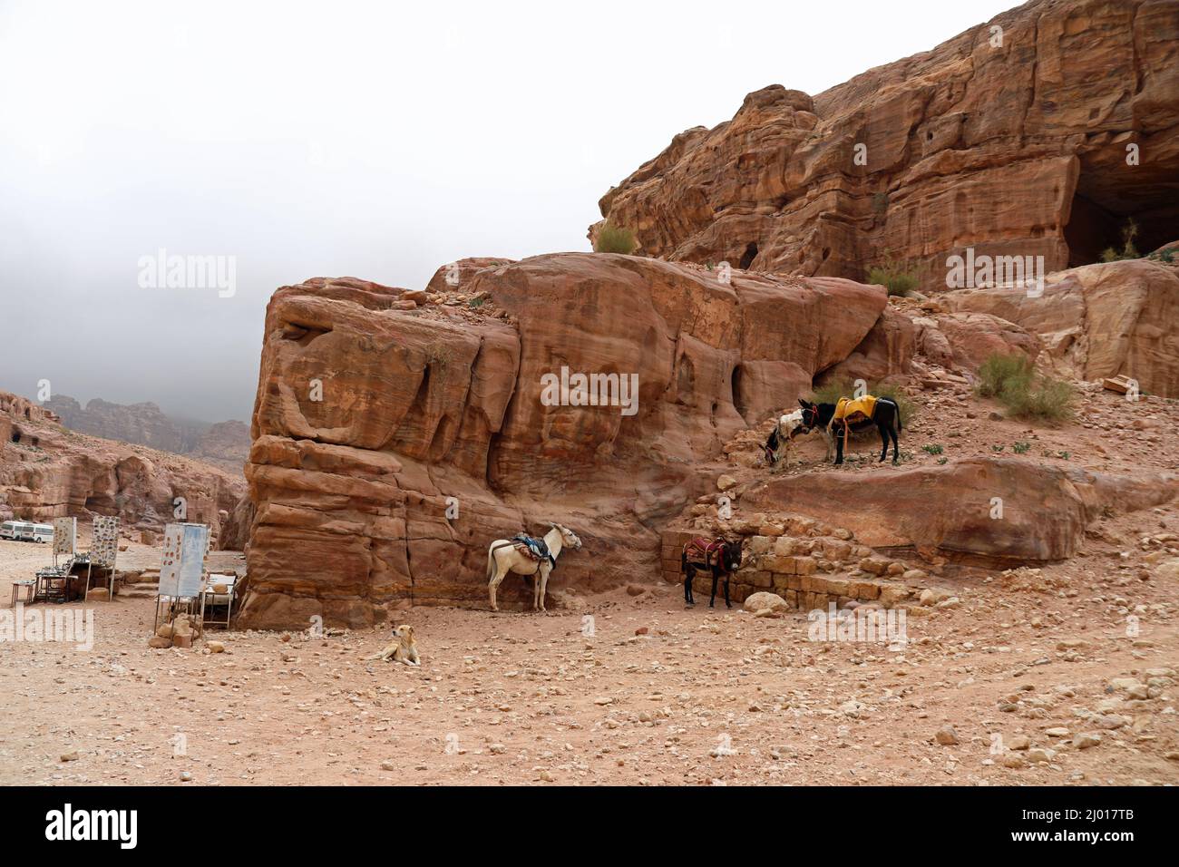 Archaeological city of Petra in winter Stock Photo