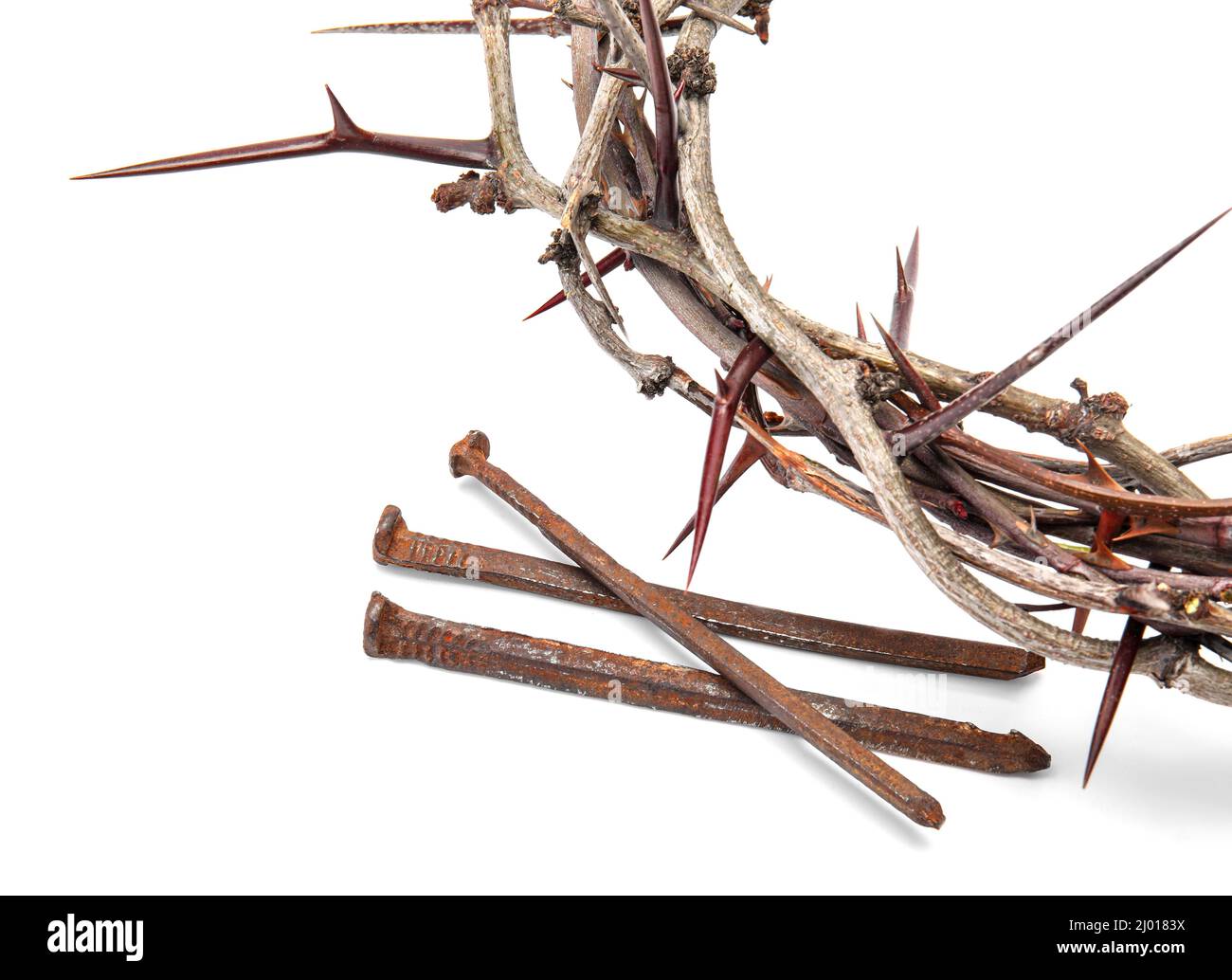Crown of thorns with nails on white background, closeup Stock Photo - Alamy