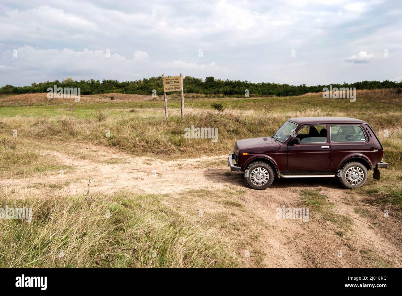 Special Nature Reserve Deliblato Sands.Deliblato sands is the largest European continental sandy area covering around 300 km² of ground in Vojvodina p Stock Photo