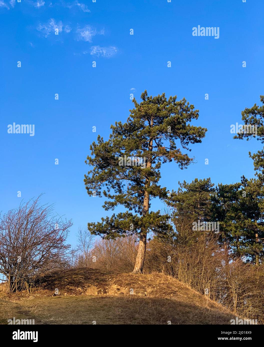 Beautiful shot taken in the city of Piatra Neamt, Romania Stock Photo