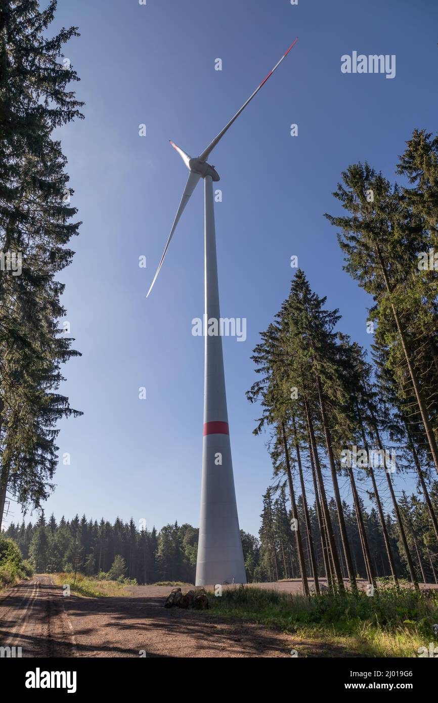 wind turbine in a german coniferous forest Stock Photo Alamy