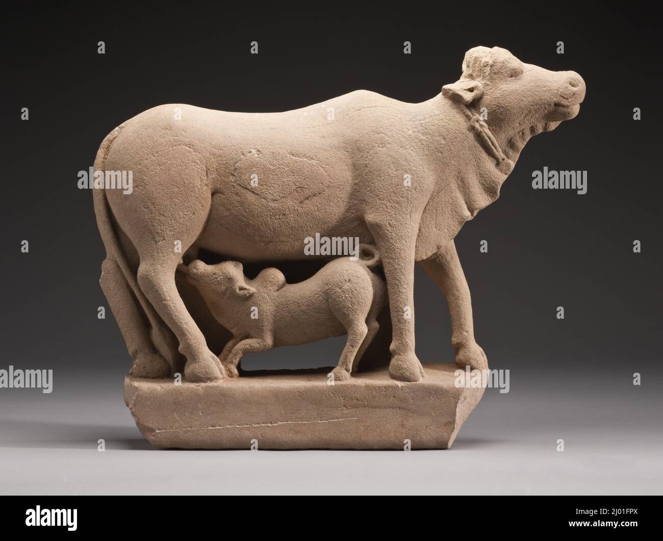 Cow and Calf Stock Photo - Alamy