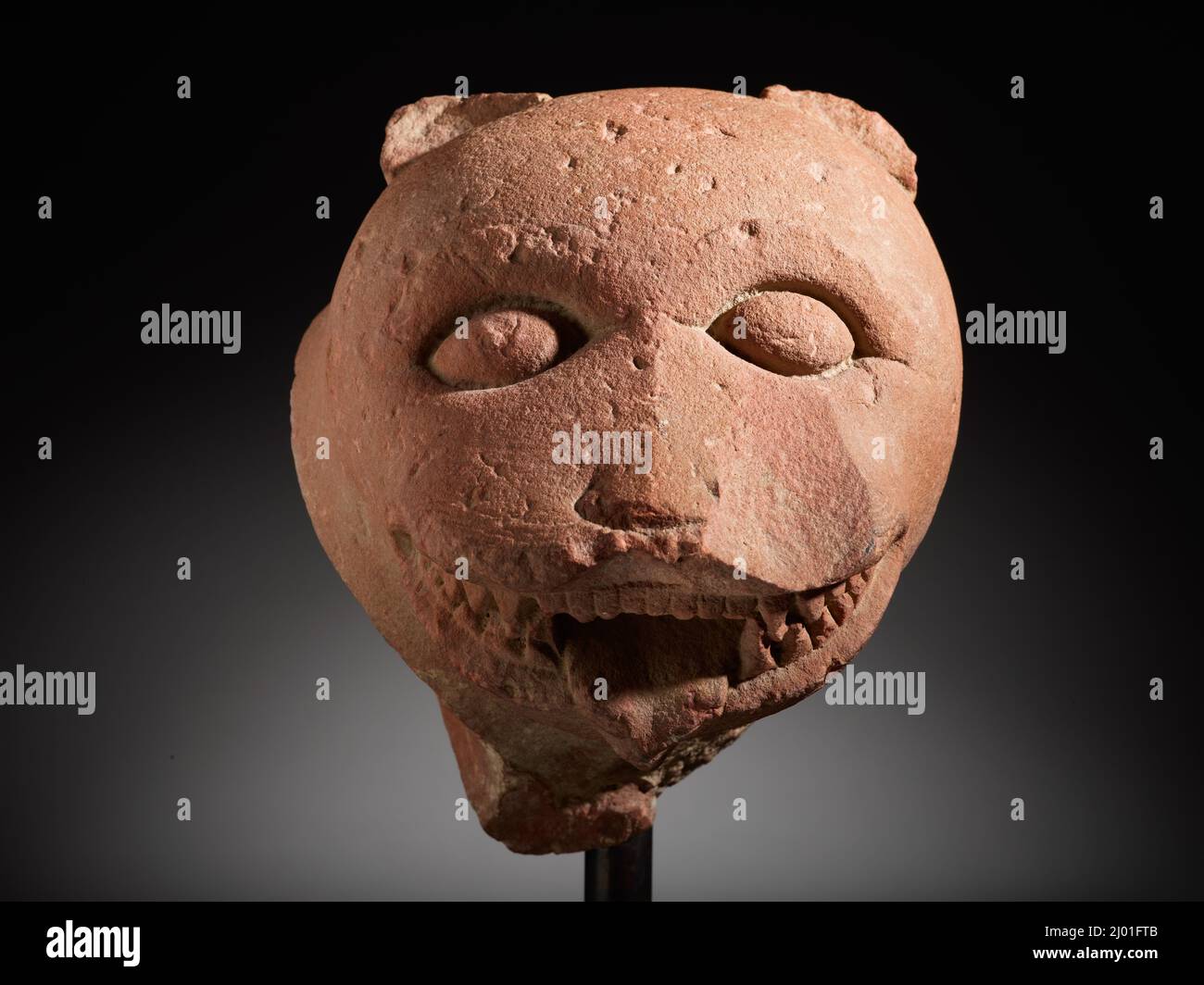 Stylized lion head hi-res stock photography and images - Alamy