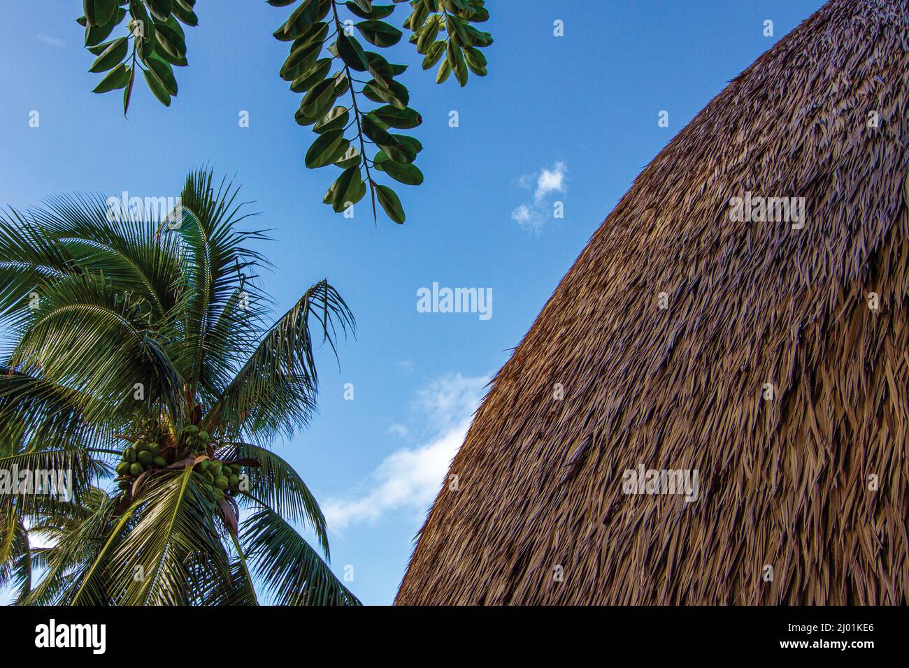 Polynesian Cultural Center Stock Photo