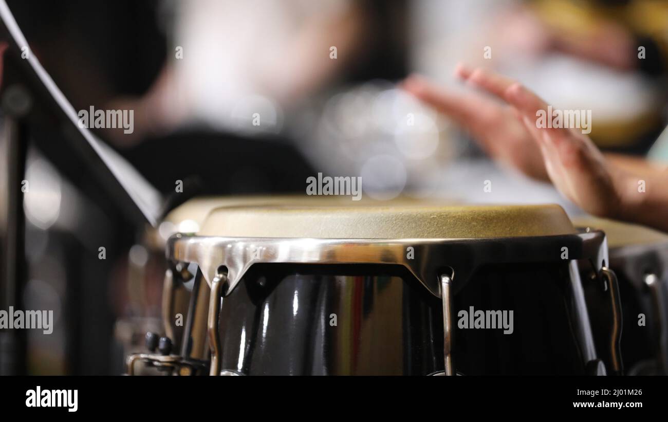 A close up of hands moving or in motion playing the congas or bongo style drums in a percussion section of a band or orchestra. Drum skin in focus. Stock Photo