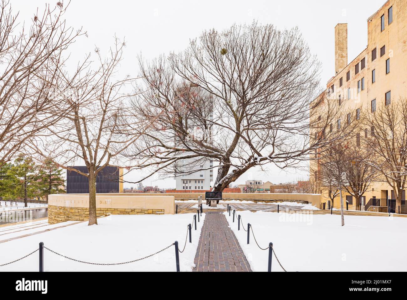 Authorities work to save Survivor Tree at Oklahoma City National Memorial  after limb lost to ice