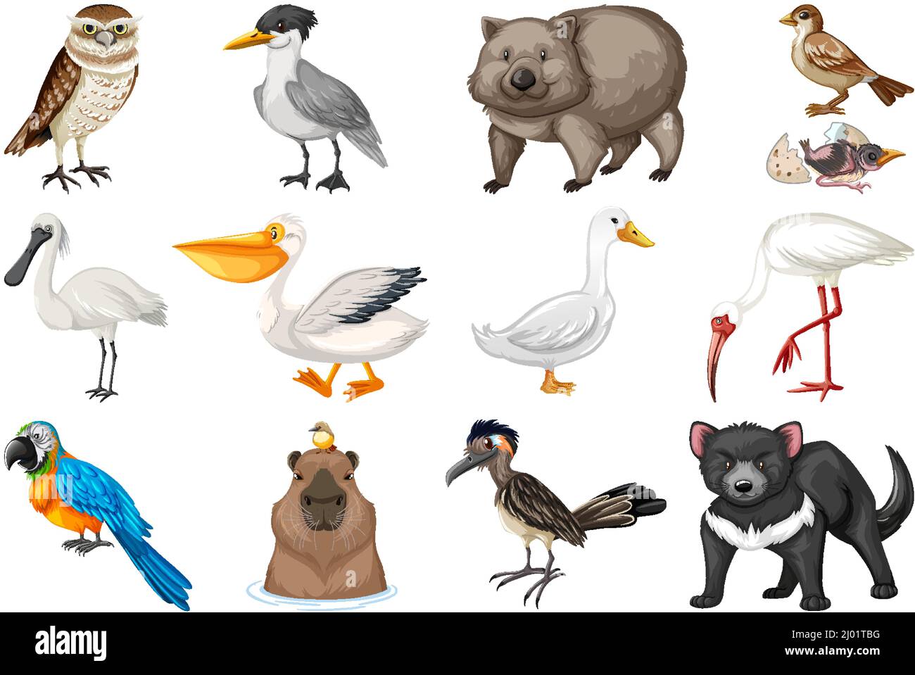 Different kinds of animals collection illustration Stock Vector Image ...